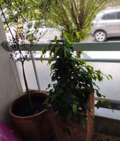 Cozy Apartment In Athens! Zewnętrze zdjęcie