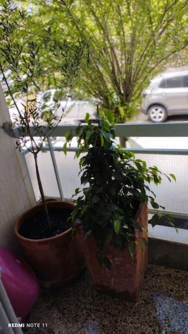Cozy Apartment In Athens! Zewnętrze zdjęcie